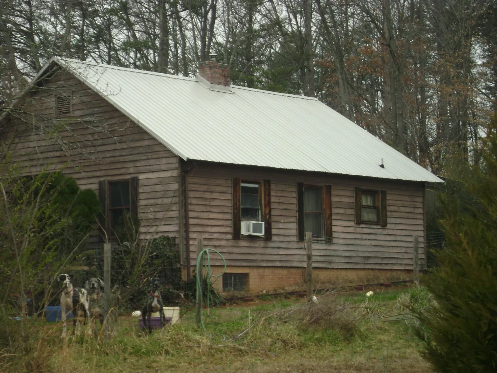 White metal roof on an old wood sided farmhouse, from a Asphalt Shingle Roof Repair job in Factoryville
